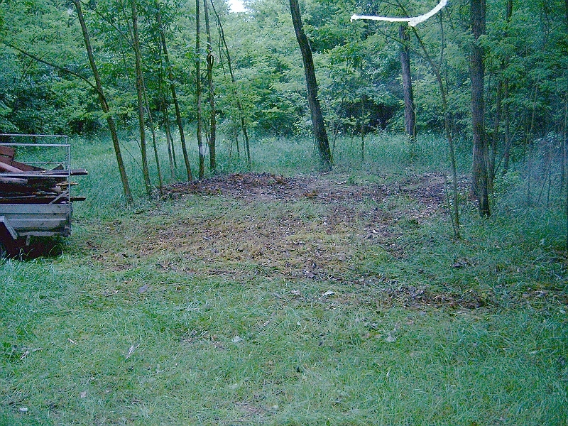 20100601 014.jpg